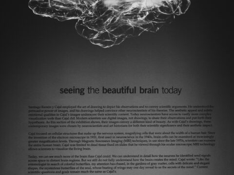 Understanding Color Perception: My Blue is Your Blue