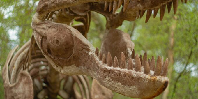 The Mystery of the Deep: Shocking Secrets Revealed by Black Eggs Found 20,000 Feet Deep in the Pacific