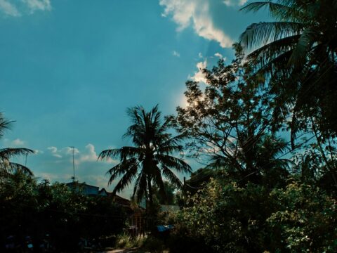 The Unusual Quiet: Understanding the Weird Peak-Season Silence in the Atlantic Tropics