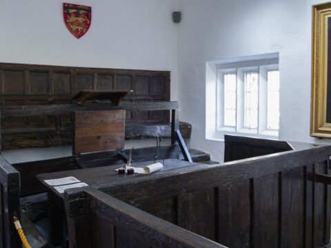 Going Solo: The Accused Assassin's Defense at Trump Trial