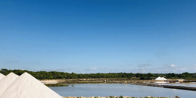 The $40,000 Salt Goldmine: A Hidden Treasure Only the Wealthy Can Access