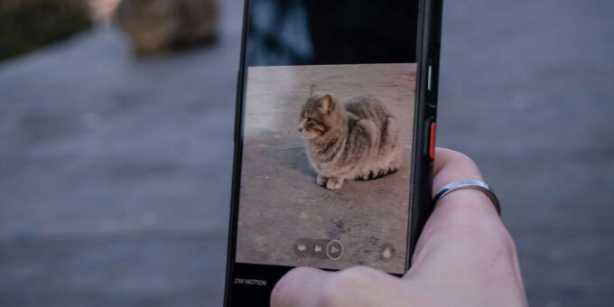 Capturing Feline Moments: My Experience Taking 100 Cat Photos with the Google Pixel 10