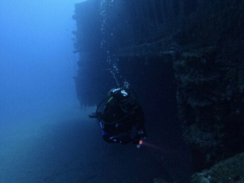 Exploring the Depths: Advanced Underwater Technology Reveals a New Species of Deep-Sea Snailfish