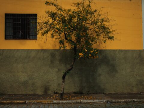 Wall Street Skips Tech and Goes Old School for Growth in 2026