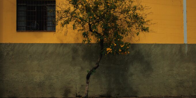 Wall Street Skips Tech and Goes Old School for Growth in 2026